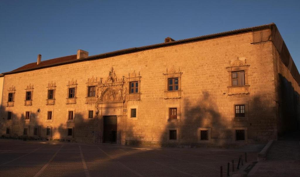 a large brick building with a shadow in front of it at Castilla Termal Palacio de Avellaneda in Peñaranda de Duero