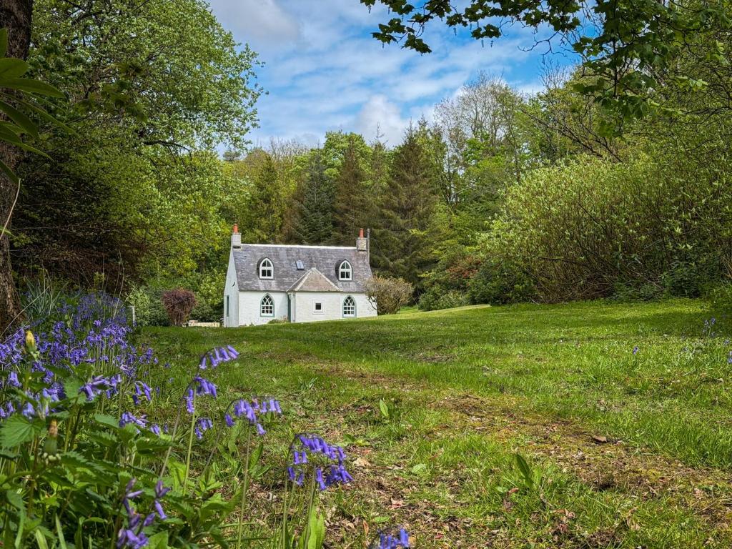 a white house in the middle of a field with purple flowers at Foresters Cottage, Dalry in Dalry