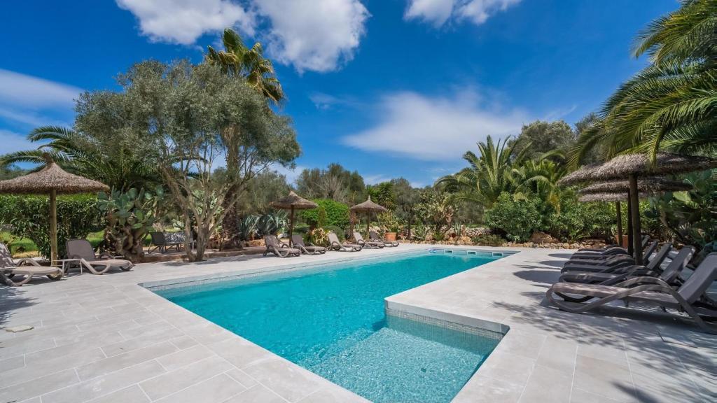 a swimming pool with chairs and umbrellas at Can Pina - Eco Pina - in Costitx