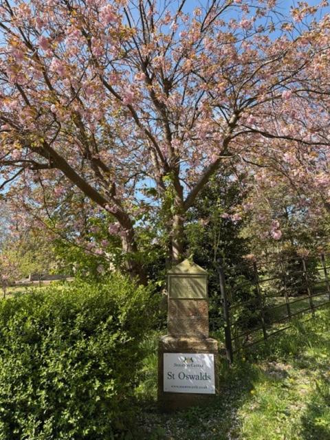 a sign in front of a tree with pink flowers at St Oswalds Estate Lodges in Whitby