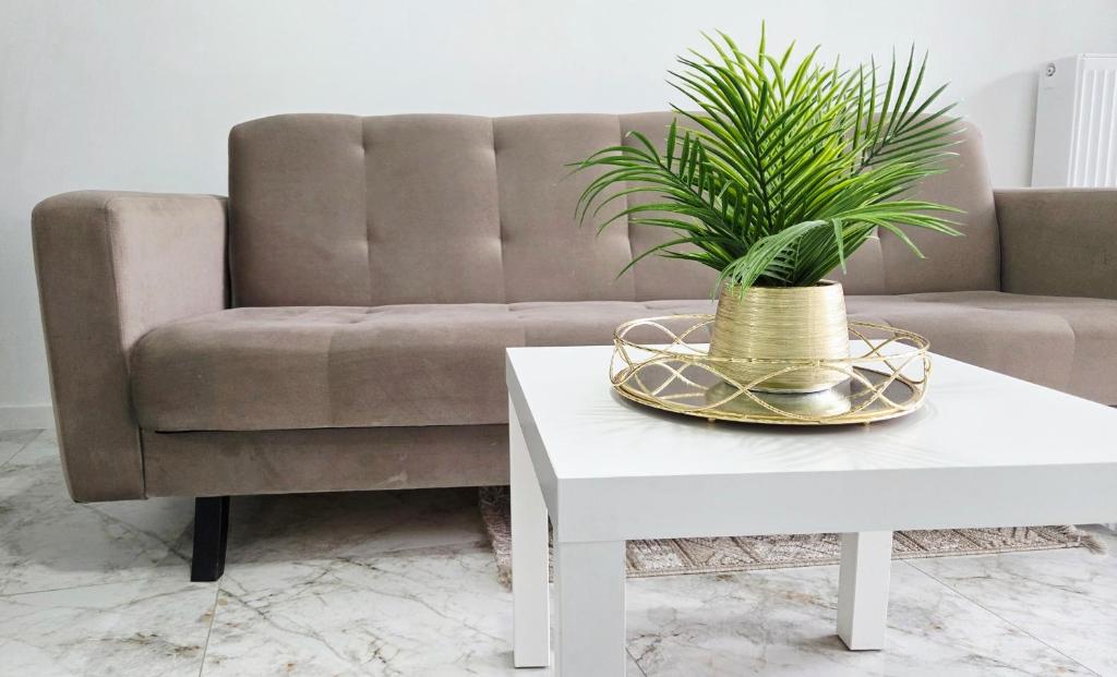 a living room with a couch and a table with a plant at Prestige Slow Lake Centrum Jezioro Magistrackie 100m Internet in Mrągowo