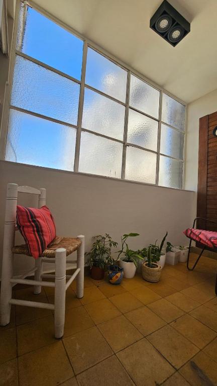 a room with windows and a chair and plants at En Espejo in Mendoza