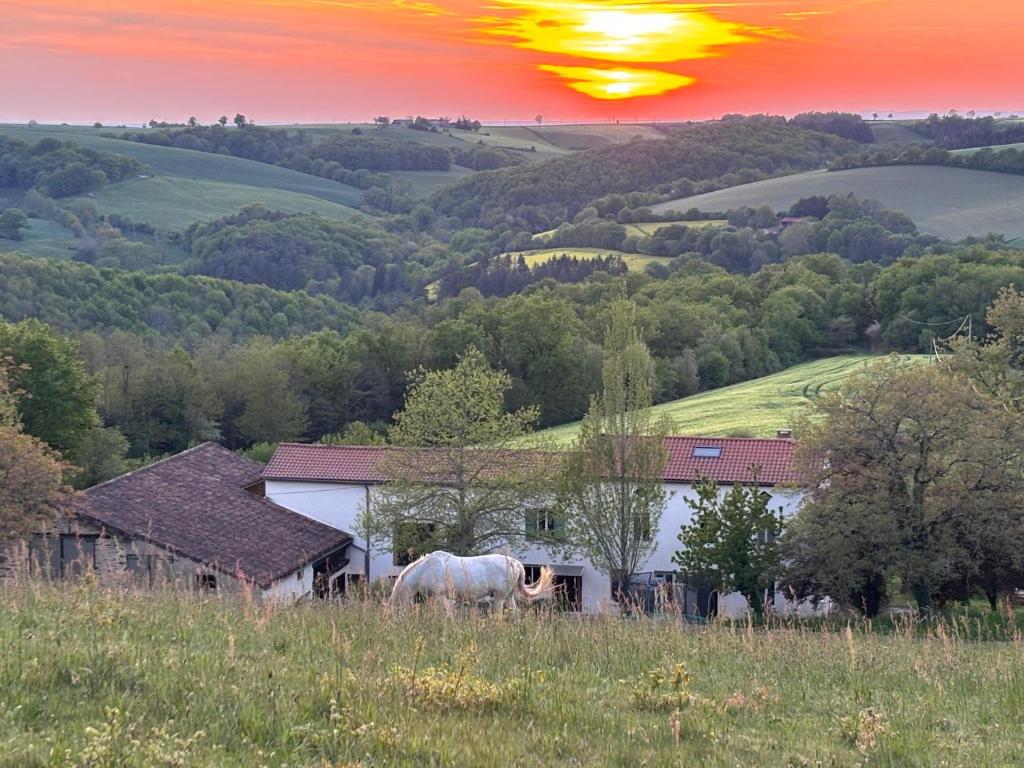 a white horse standing on a hill near a house at La-Vialette Chambres d Hôtes in Mont-Roc