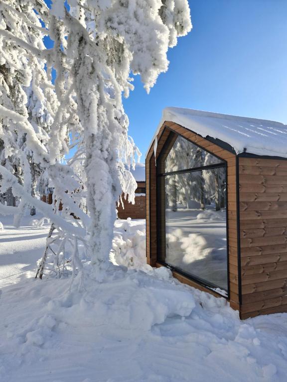 a building covered in snow next to a tree at Arctic Nest Forest Cabin in Kotila