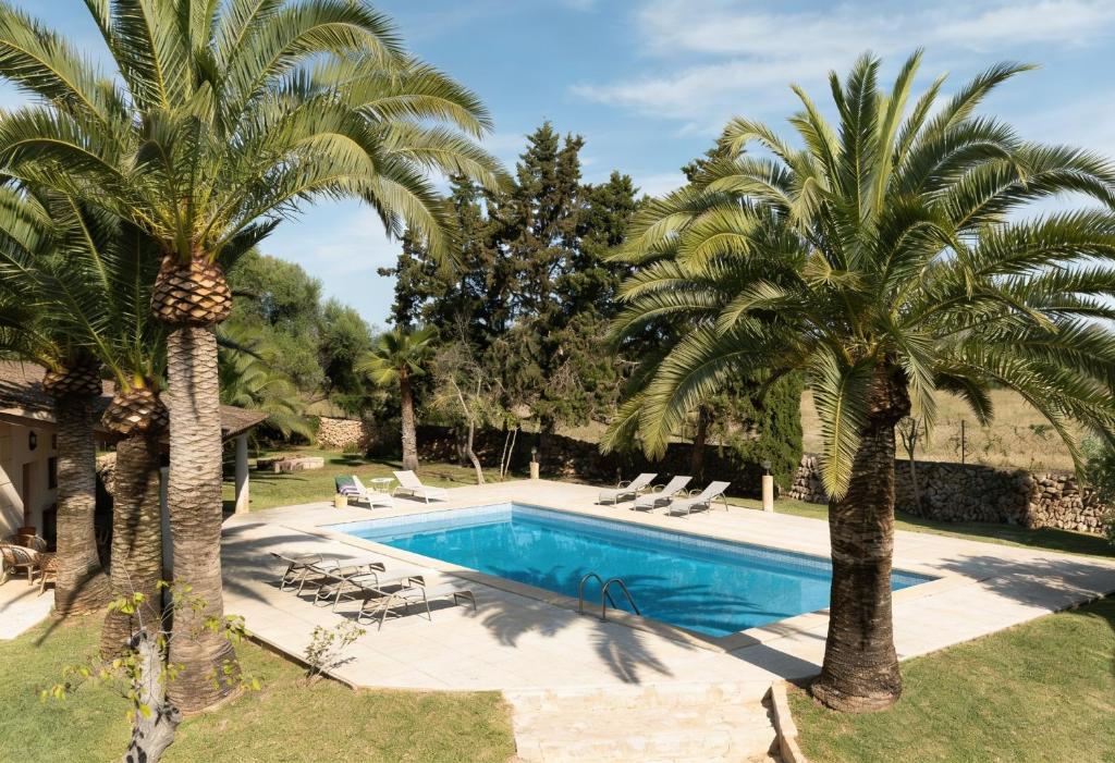 a swimming pool with two palm trees and chairs at Finca Son Vidal in Llucmajor