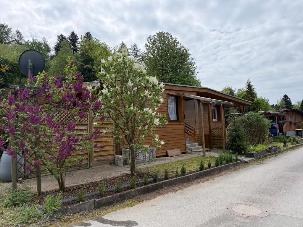 a cabin with trees and purple flowers in front of a road at Ferienhaus Waldgeflüster in Limbach