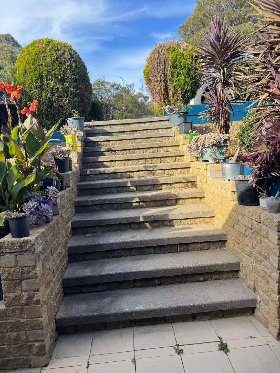 a set of stairs in a garden with plants at Sweet home in Goodwin Hill in Macgregor