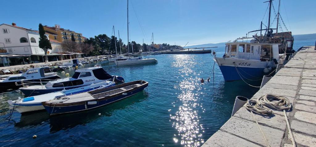 a group of boats are docked in a harbor at Apartment Mateo 2 mit Meeresblick und Mateo 1 mit Gartenblick in Selce