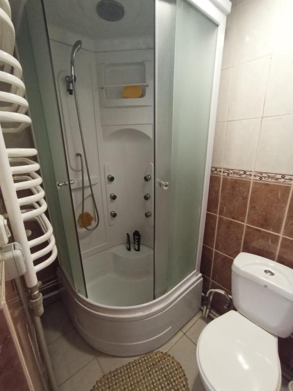 a bathroom with a shower and a toilet at Котедж - Prestige in Vorokhta