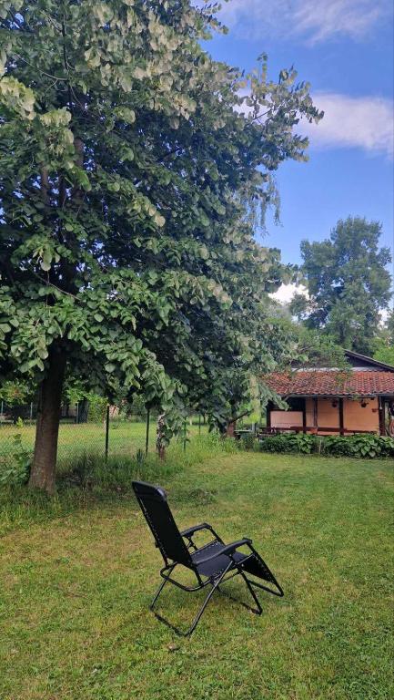 a chair sitting in the grass near a tree at Vikendice Garić in Veliko Gradište