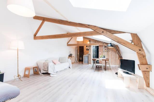 un salon avec un canapé et une télévision dans l'établissement La Chicorée, à Annoeullin