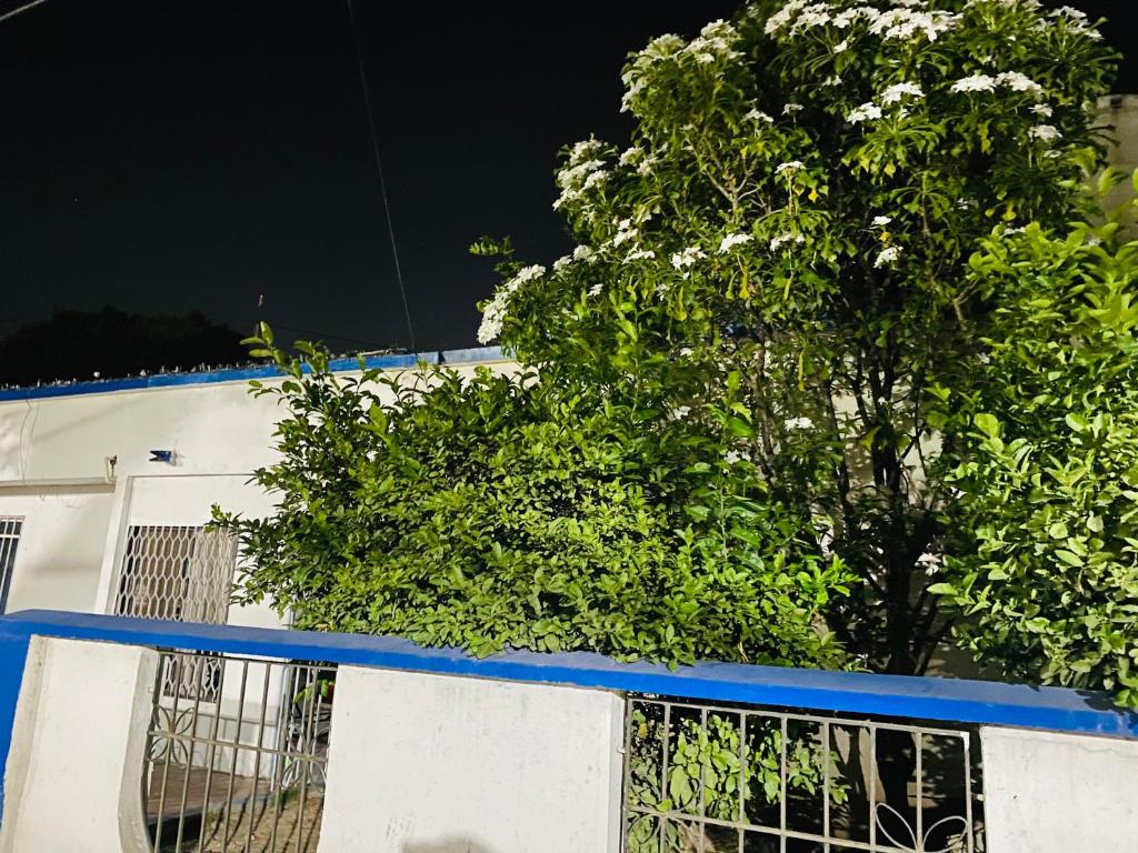 a white building with a blue roof and a tree at Casa Edi Hostal Santa Marta in Santa Marta