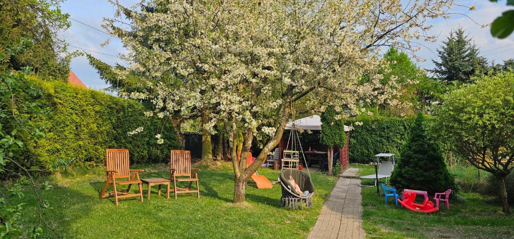 a yard with a tree with chairs and a swing at Rest & Relax Górzyniec in Piechowice