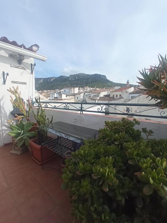 a balcony with plants and a view of a city at Hostal R-Conecta in Cuevas de San Marcos