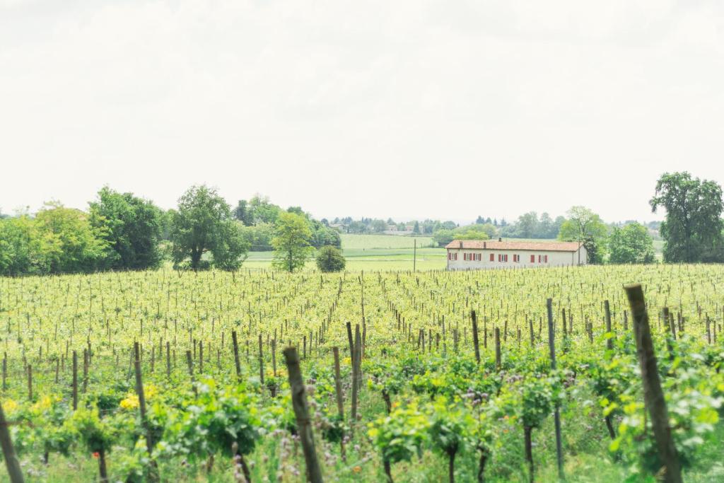 PassiranoにあるLa Cascinettaの赤納屋を背景にしたブドウ畑