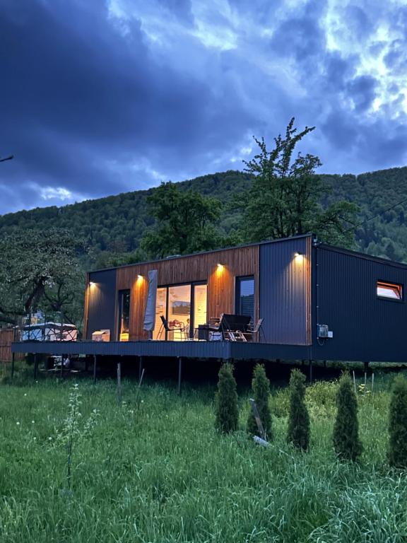 a modern house with a black exterior in a field at B-House in Tyudov