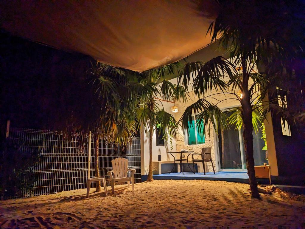 a house with a palm tree and a table and chairs at Casa Foto Estudios in El Cuyo