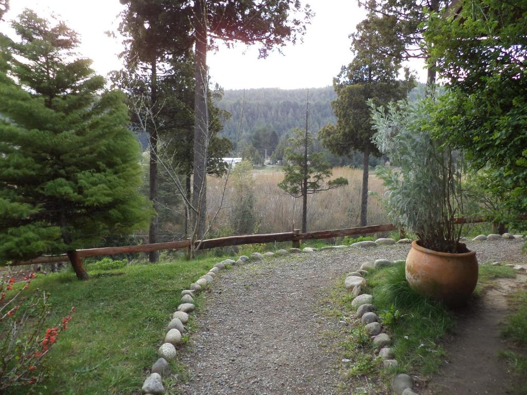 a garden with a plant in a pot on a path at Albergue Gaia in El Bolsón