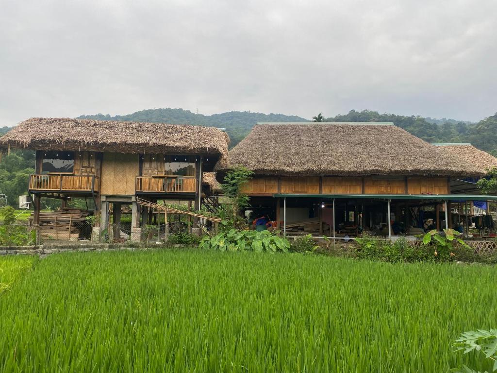 a house with a grass roof next to a rice field at Corn family homestay in Làng Me