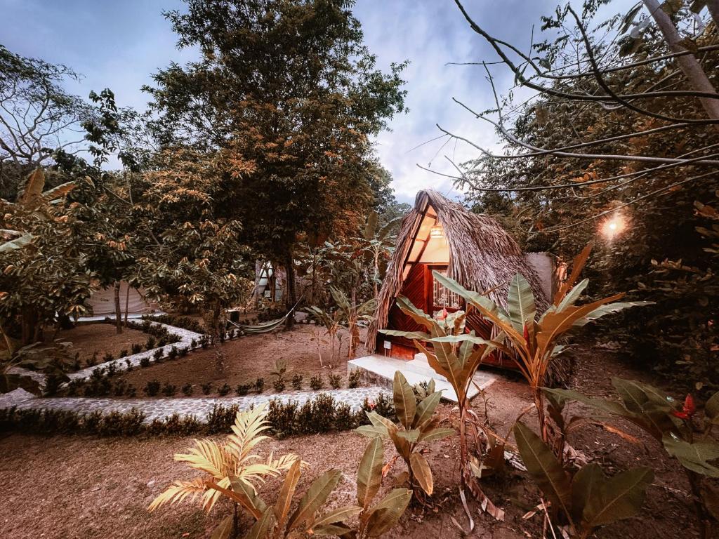 a small house in the middle of a garden at Glamping Kunna Tayrona in El Zaino