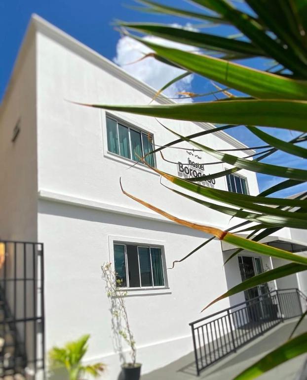 a white building with windows and a plant at Hostel Borogodó in Fortaleza