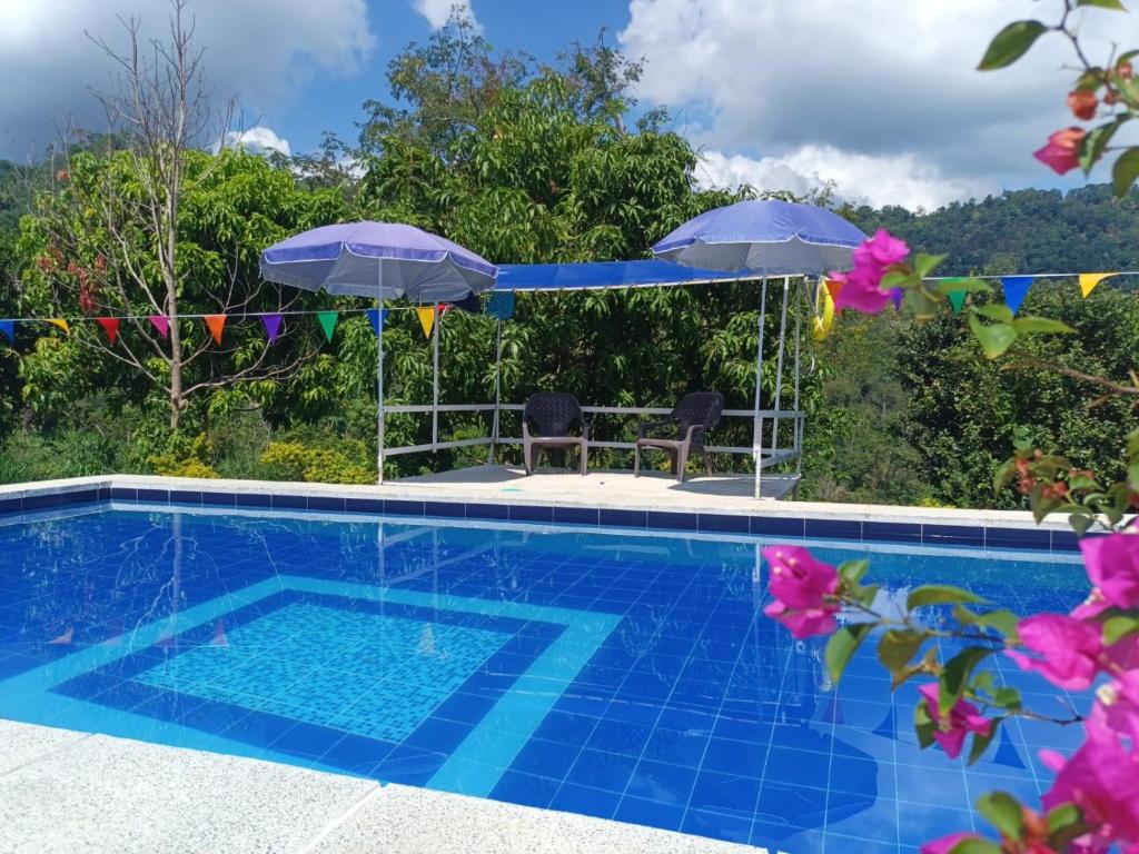 a pool with umbrellas and a table and chairs at Cabañas La Cima Del Cielo in San Vicente de Chucurí