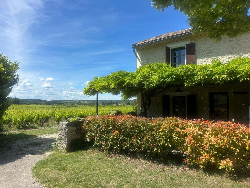 a house with a vineyard in the background at Ecrin au milieu des vignes in Uchaux