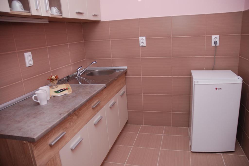una piccola cucina con lavello e frigorifero di Apartman Milkovic 2 a Sombor
