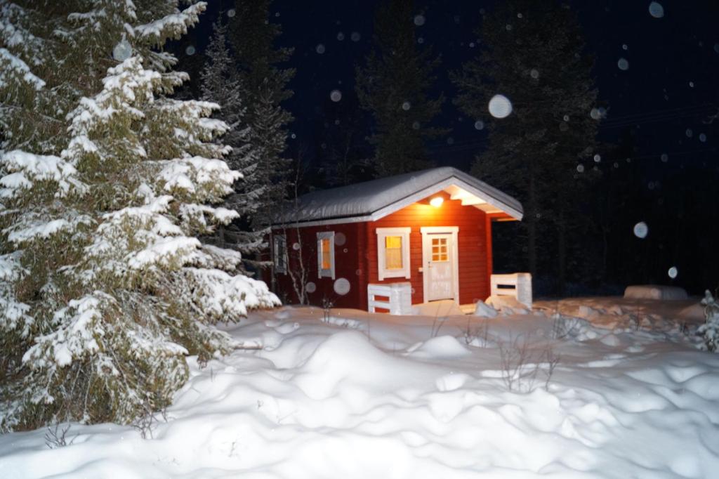 una pequeña cabaña en la nieve con un árbol de Navidad en Myrkulla Lodge, en Jerfojaur