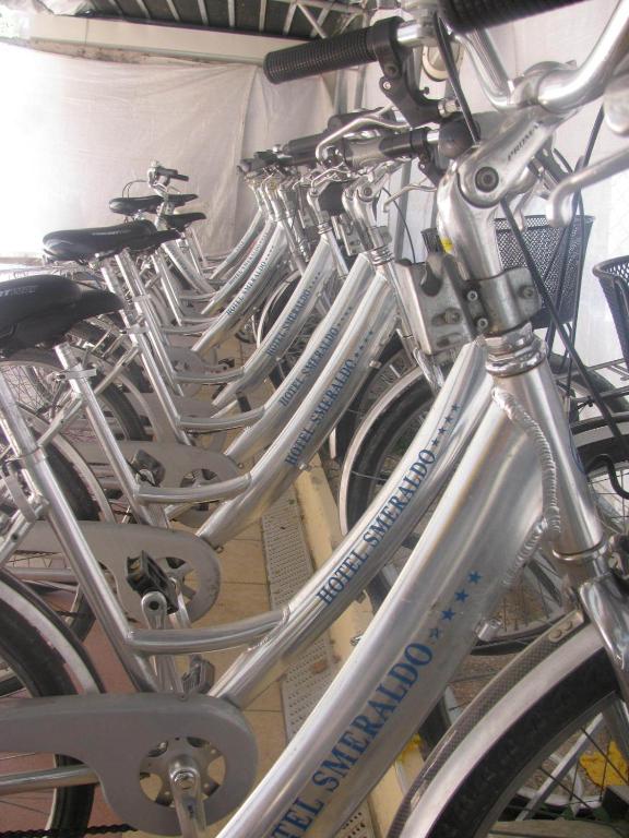 Fitness centrum a/nebo fitness zařízení v ubytování Hotel Smeraldo