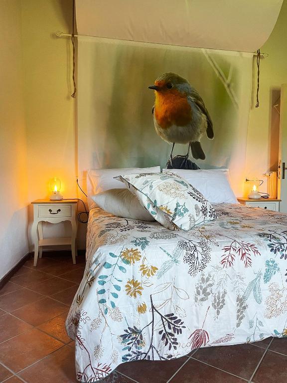 a bird sitting on top of a bed at Quercus La Baita in La Verna