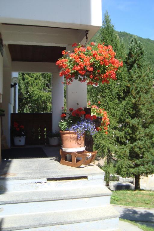 Zahrada ubytování Haus Kandahar