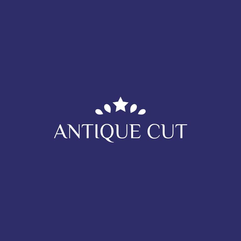 an airplane cut logo on a purple background at Antiquecut Jewelry in Surat