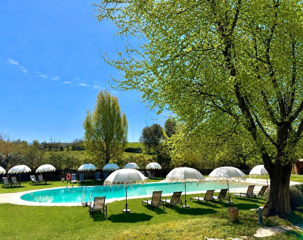 a group of chairs and umbrellas next to a pool at Hotel Boutique Palacio del Moral in Ronda