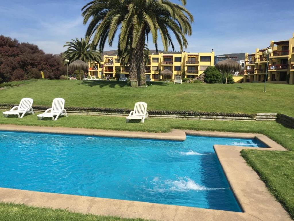 a swimming pool with two chairs and a palm tree at Maitencillo in Maitencillo