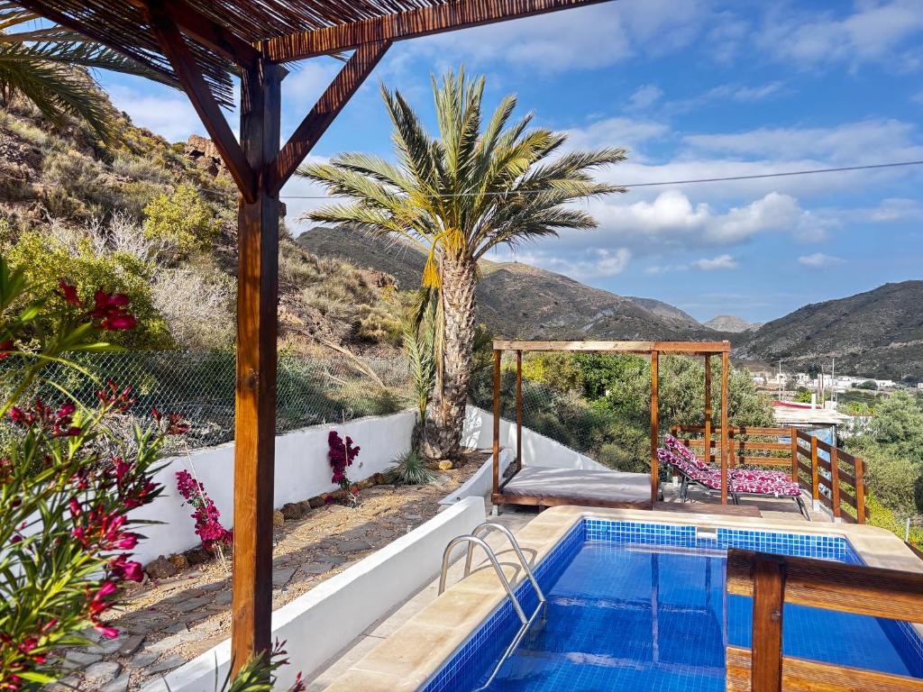 a villa with a swimming pool and a palm tree at Villa Capital Mountainview in Carboneras