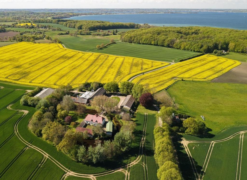 an aerial view of a house in a field at Klüterkammer, Ferienhaus auf Gutshof mit Kamin in Langballig