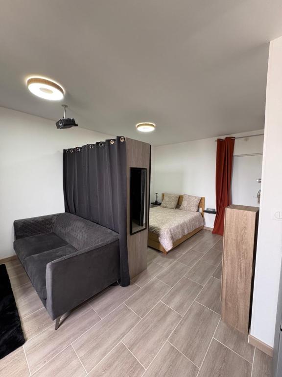 a living room with a couch and a bed at Le petit Vittel in Vittel