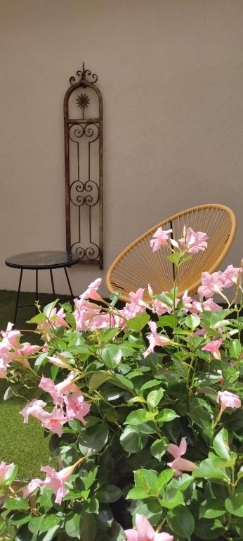 Gîte Le Patio – photo 20