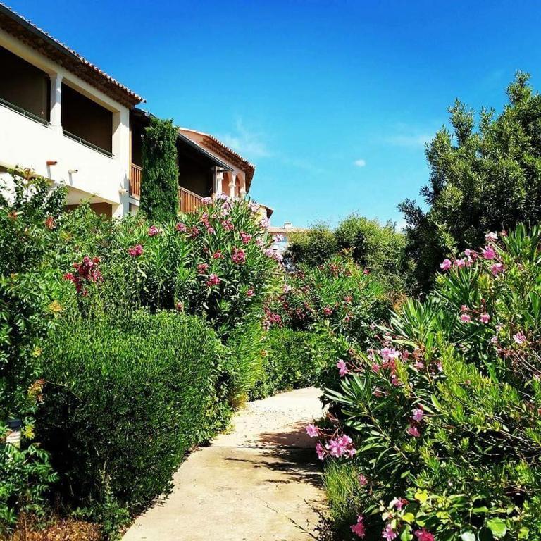 a garden of flowers and plants next to a building at Location appartement proche Saint Tropez in Roquebrune-sur-Argens