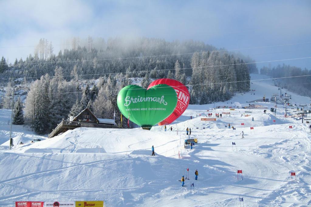 Fotografia z galérie ubytovania Almchalet v destinácii Stadl an der Mur