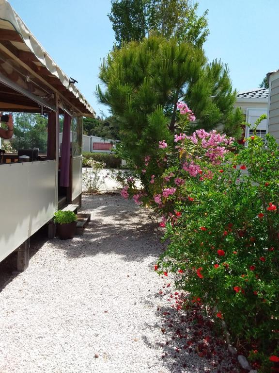 a garden with pink flowers and a tree at Mobil-home DURIS in Hyères