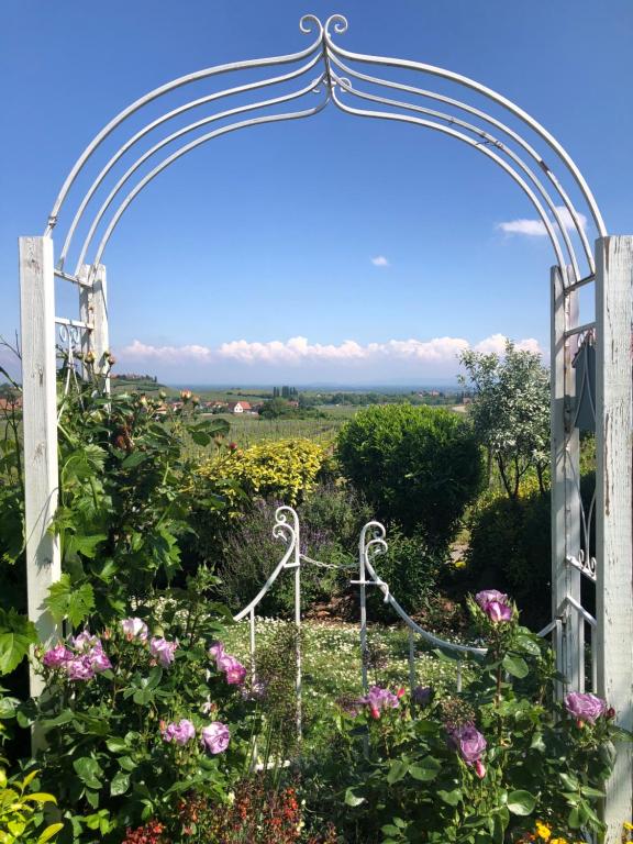 Gite Riquewihr "C'est Beau la Vie Alsace" – photo 20