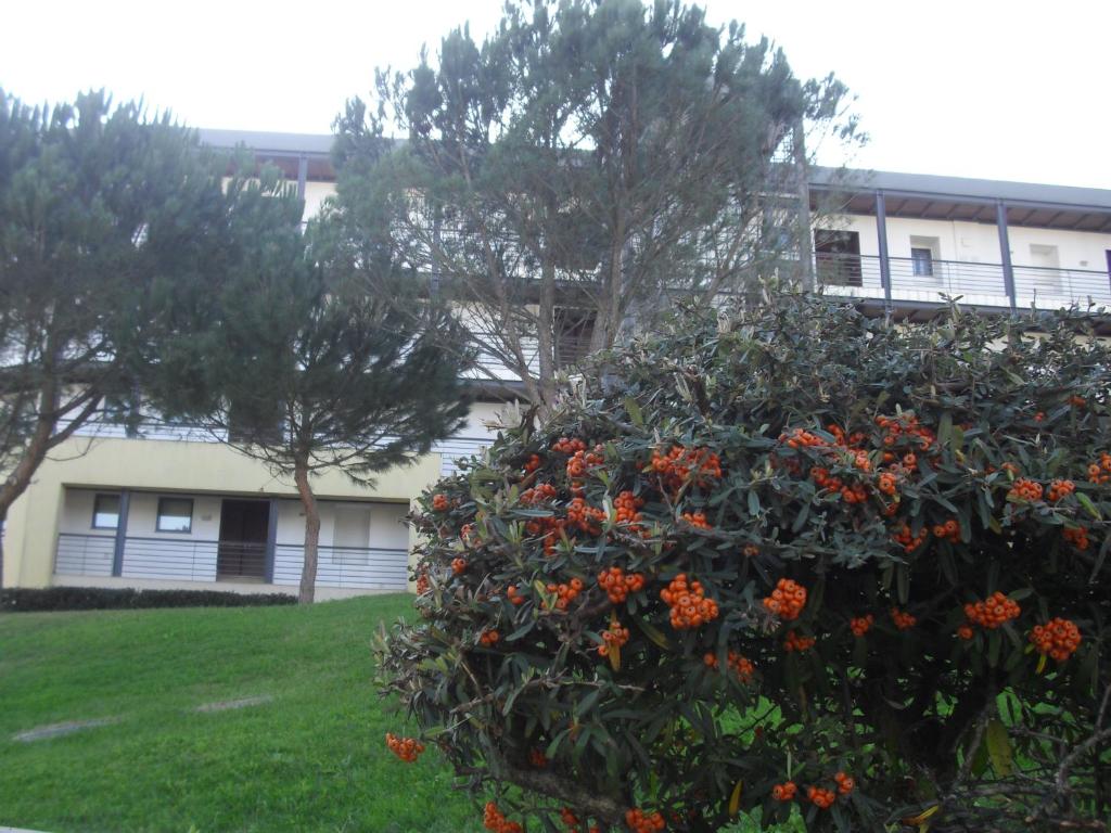 Apartment Belleview - 17