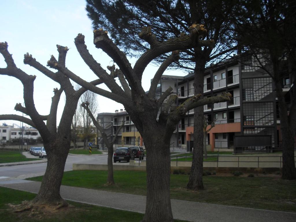 Apartment Belleview - 16