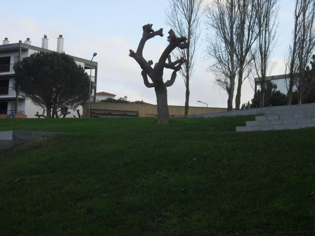 Apartment Belleview - 19