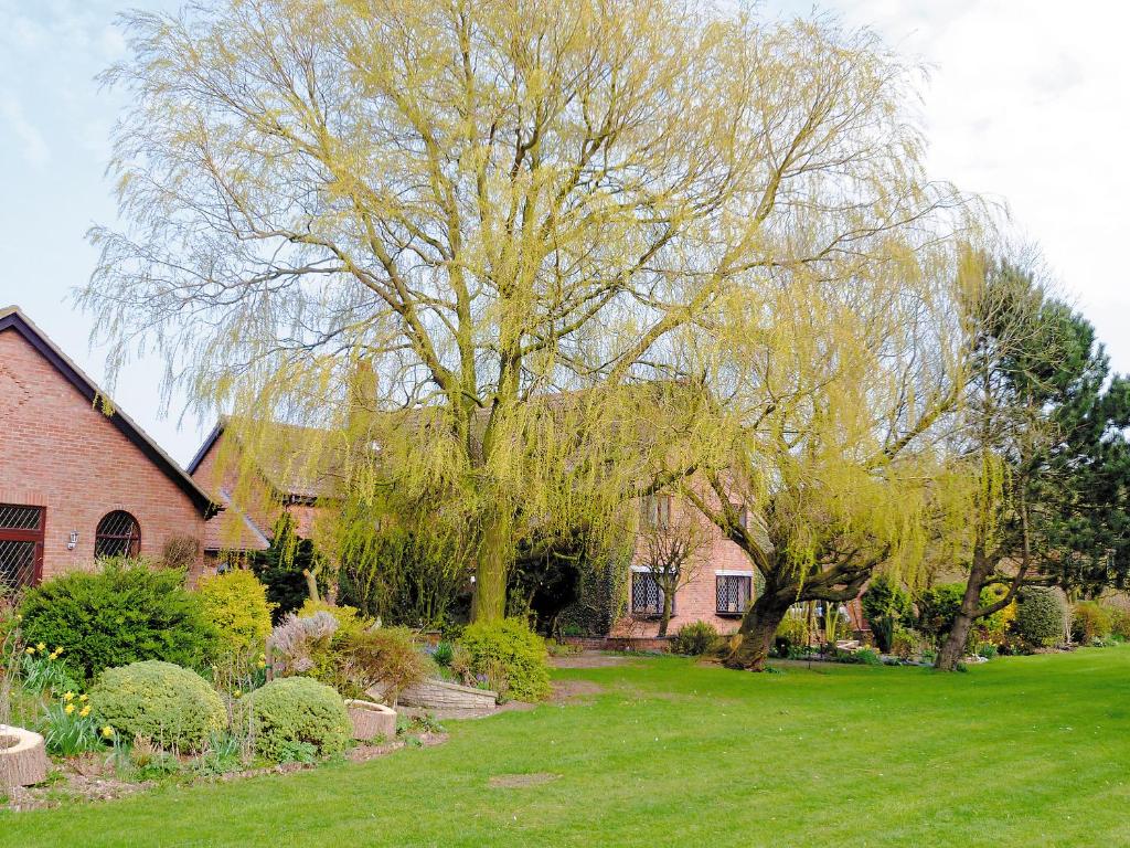 a large tree in a yard next to a house at Ash Cottage E1224 in Addlethorpe
