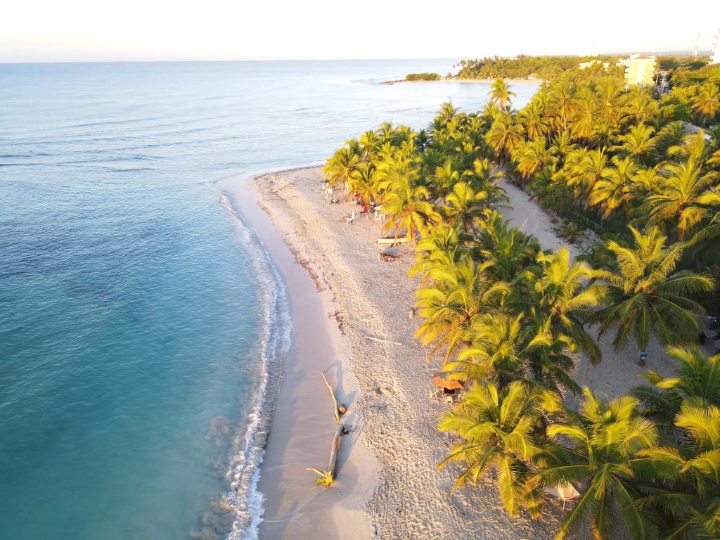 an aerial view of a beach with palm trees and the ocean at Harmonia - Sunbeha resort, Juan Dolio in Juan Dolio