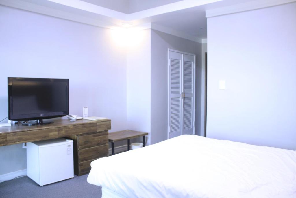 TV a/nebo společenská místnost v ubytování Hotel Ocean View