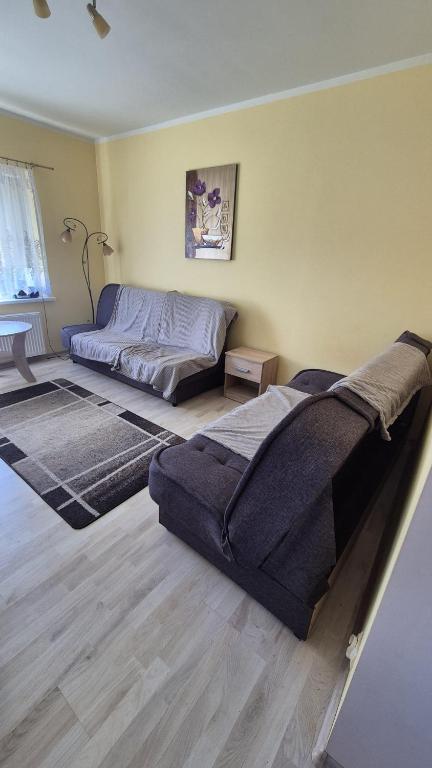 Apartament u Basi - Apartment Mit 1 Schlafzimmer